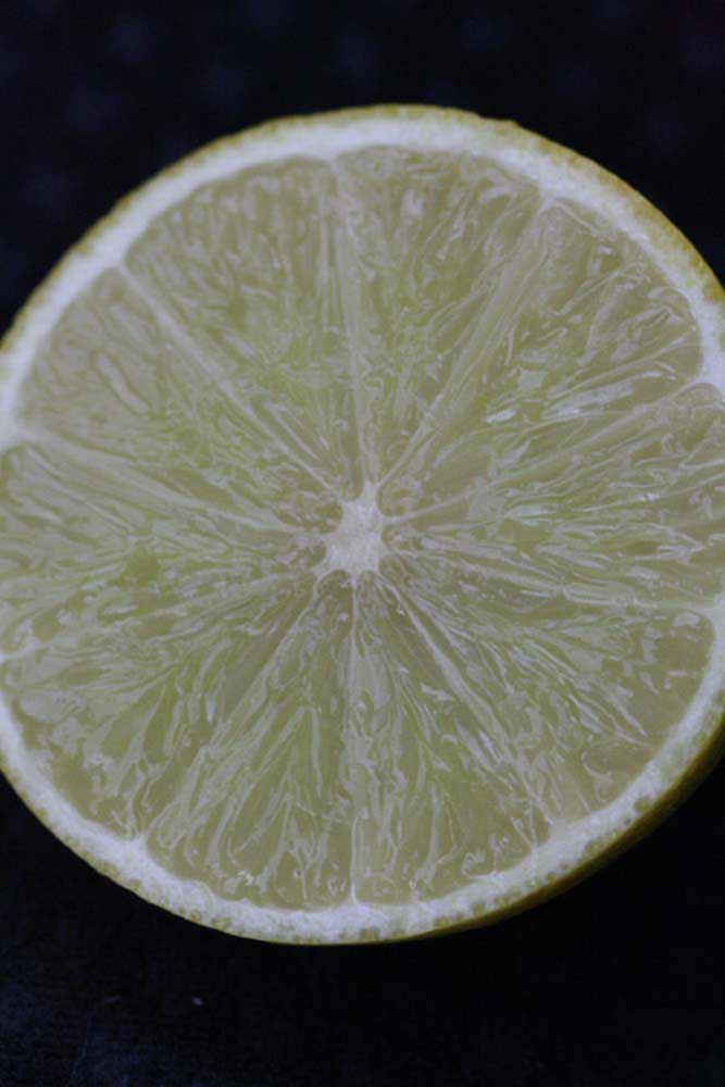            Fruit cross-section (Persian SPB-7, Riverside, CA)   